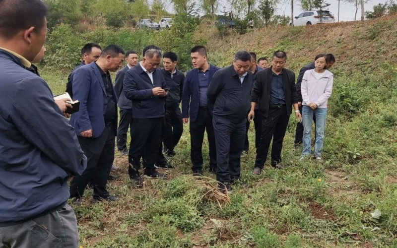 天水市政協(xié)副主席、清水縣委書記馬越垠到“榮程百草莊園”中藥材試驗基地調(diào)研中草藥產(chǎn)業(yè)發(fā)展工作