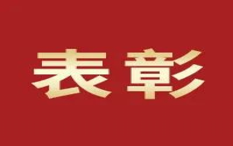 奮進2023，這些集體和個人無上“榮”光