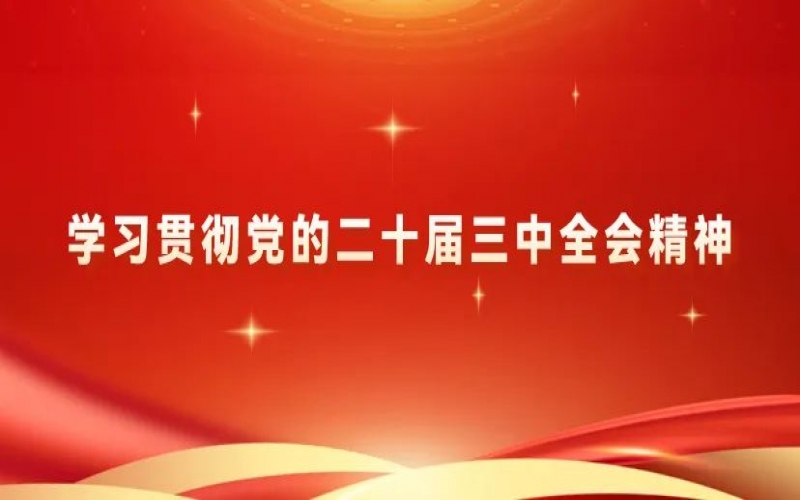 學(xué)習(xí)貫徹黨的二十屆三中全會(huì)精神 - 榮程青年為推進(jìn)中國式現(xiàn)代化挺膺擔(dān)當(dāng)（二）