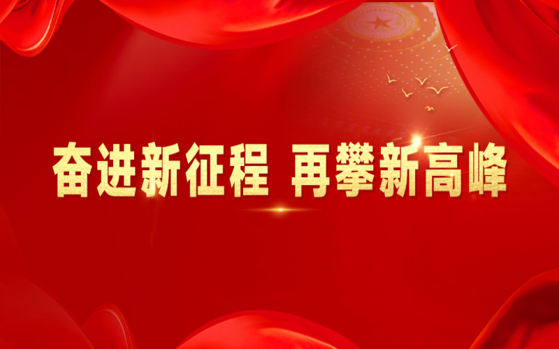 融誠物產(chǎn)集團：打好“組合拳”，提速國際化