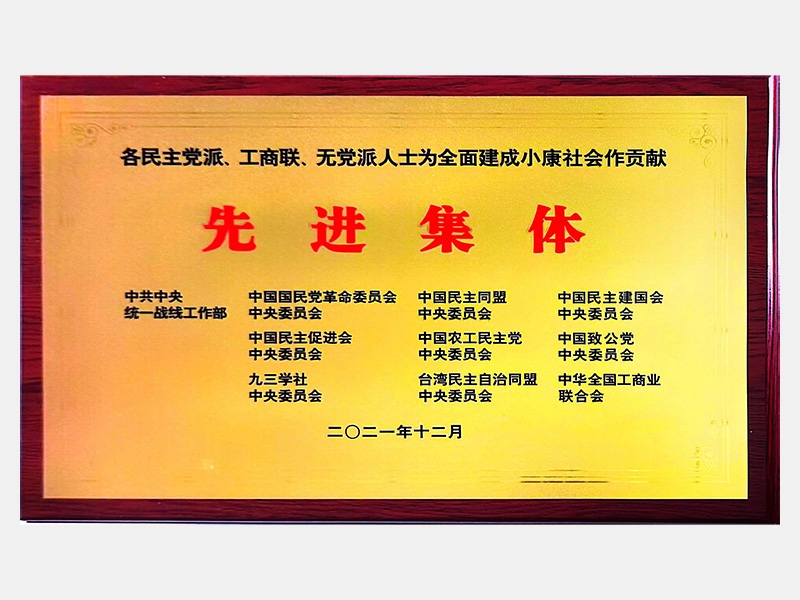 各民主黨派、工商聯(lián)、無(wú)黨派人士為全面建成小康社會(huì)作貢獻(xiàn)先進(jìn)集體