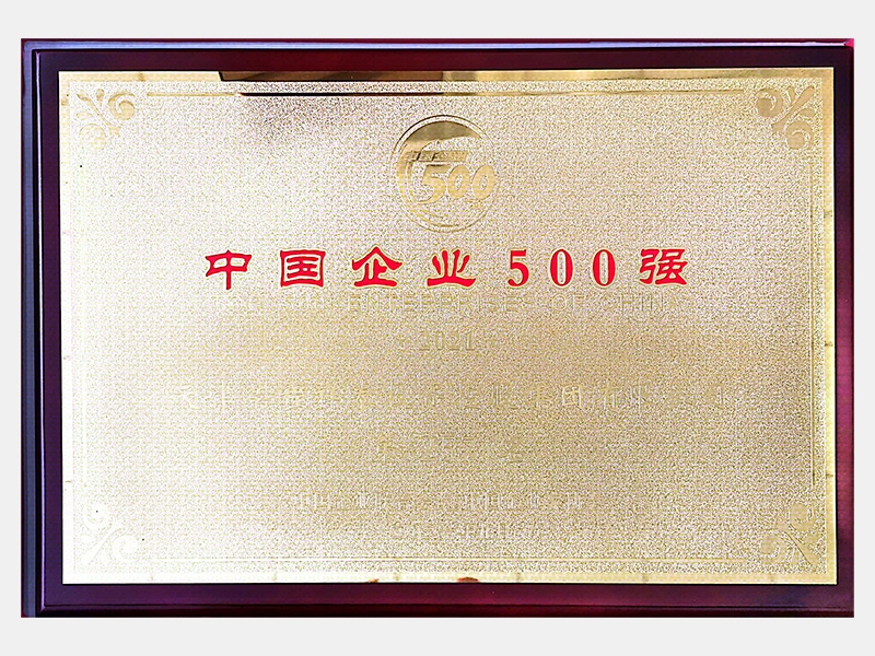 2021中國(guó)企業(yè)500強(qiáng)第257名